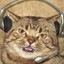 КОТОГЕЙМЕР