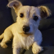 Butter_boi