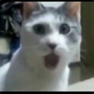 RuSSiAnCaT