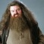 Rubeus Hagrid