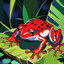 Red frog