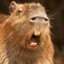 gas tank capybara 実