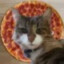 PizzaCat1732