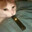 ShadyNate's Avatar