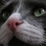 pat.axis - steam id 76561197971111195
