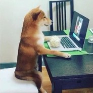 我是*-我对面也是*