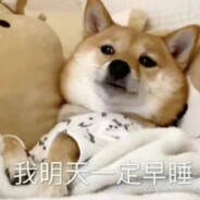 为菜狗午夜心碎