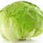 Lt. Lettuce