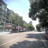 林川从来不炸鱼