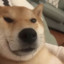 背头