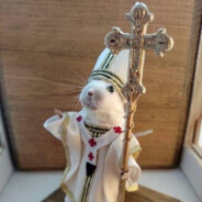 ratoshi. @herboyd2.hu