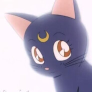 我王守义看你13有点香