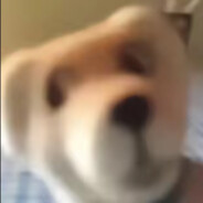 霹雳无敌吗喽王