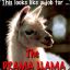 Drama Llama