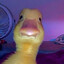 weak obsessed's avatar