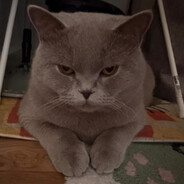 Hooji avatar