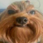 他妈的你妈妈的阴部！