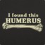 Berry humerus