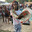 maticash