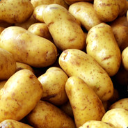 Patates