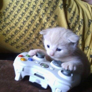 装鱿鱼被铁板烧