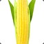 Rnxsr