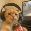Monty1337