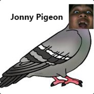 Jonny Pigeon