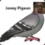 Jonny Pigeon
