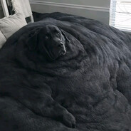 ПОЕДАЮ ДЕТЕЙ до 11