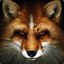 _-Fox_Space-Magistrate-_