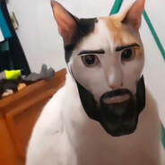 Пивная сися