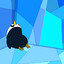 Penguin Dude
