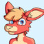 Caingaroo