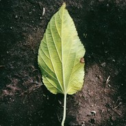 超级无敌暗黑暴风龙