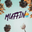 Muffin Daddy