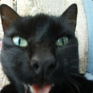 •Toxiih'Cow• ❤