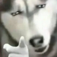 拦不住我