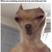 TiT$Ta$t3B3TTor$yrip?