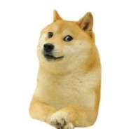 打CSGO一定要狂