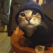 课桌上的一杯Coffee