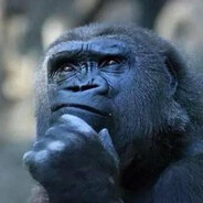 Monke
