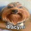 Фасулі