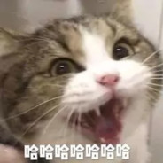 我和你讲这把赢个锤子