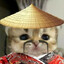 Meowstxr