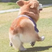 正义青年就是导