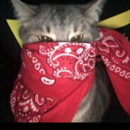 MS