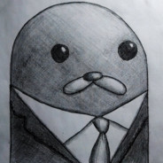 palmettofellow13