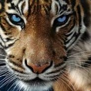 "][" ][/][ ][" ][D