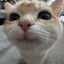 &lt;3